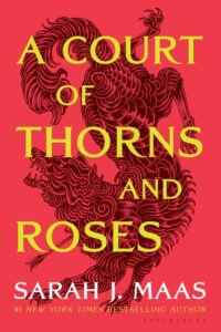 book a court of thorns and roses by Sarah j maas