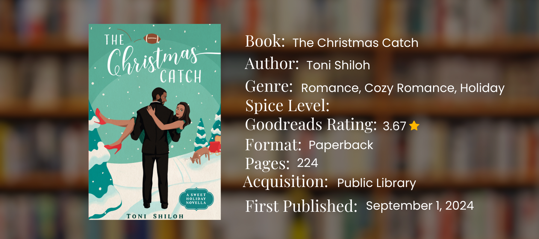 graphic of book details for the christmas catch by Toni shiloh