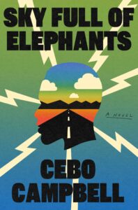 book sky full of elephants by cebo campbell