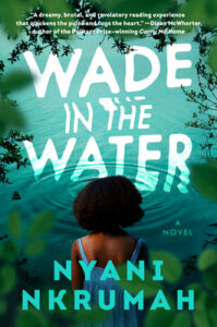 book wade in the water by nyani nkrumah