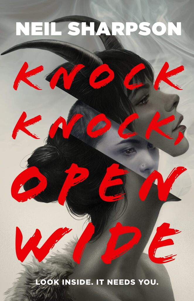 book knock knock open wide by Neil sharpson