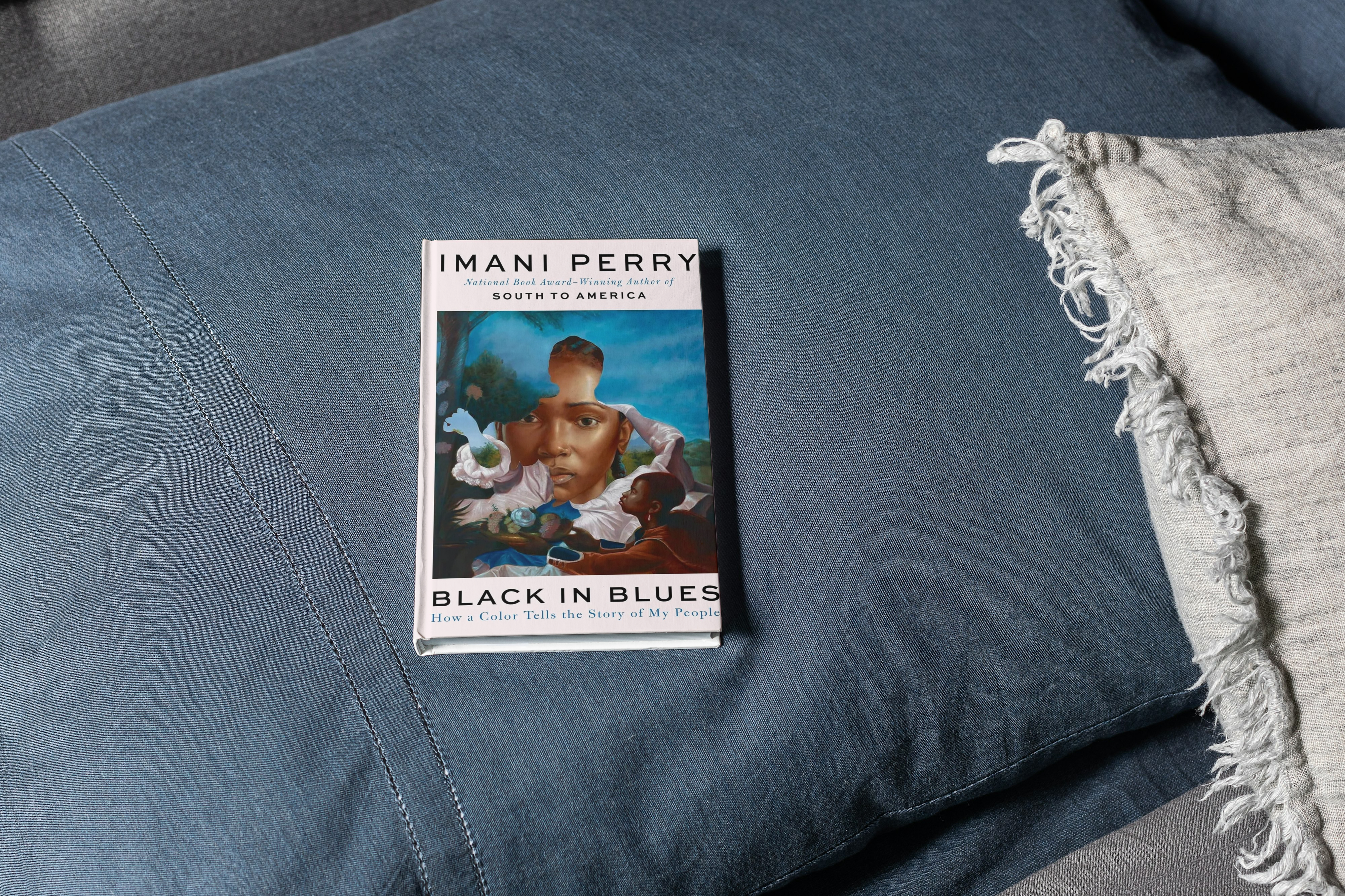 Review: Black in Blues by Imani Perry