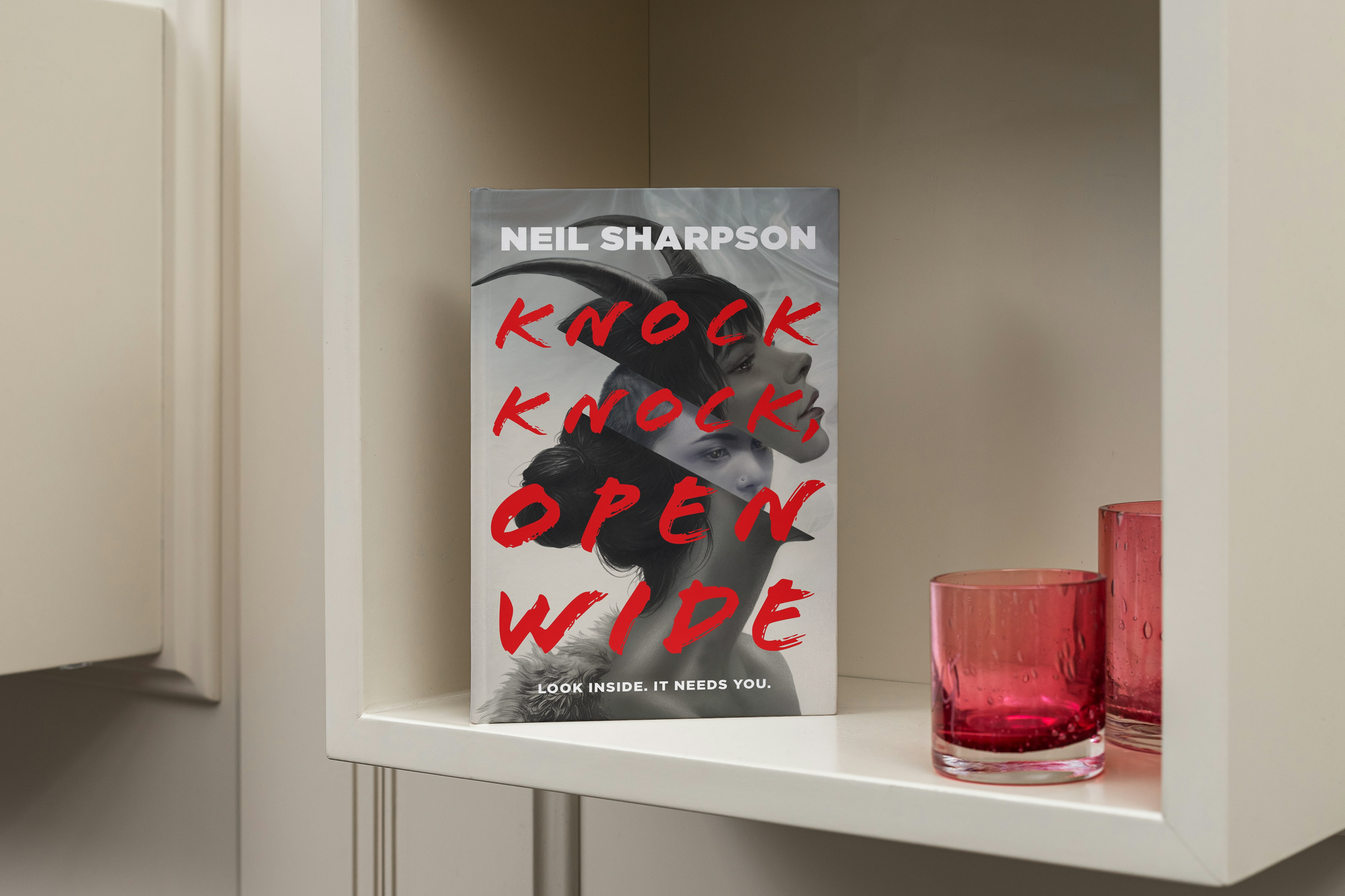 Review: Knock Knock Open Wide by Neal Sharpson