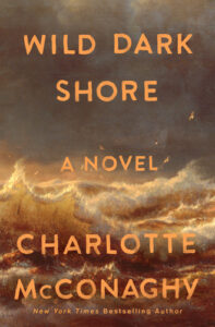 wild dark shore by charlotte mcconaghy