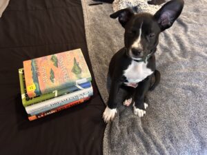 how to diversify your tbr