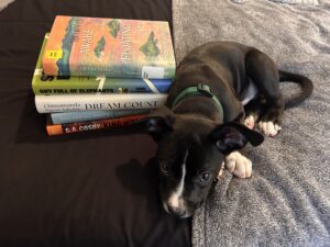 tips for diversifying your tbr