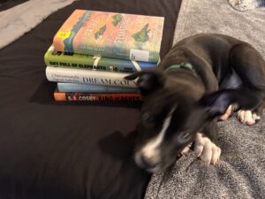 diverse reading list