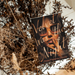 velvet was the night book review