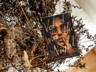 velvet was the night book review
