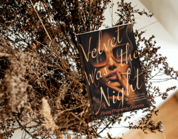 velvet was the night book review