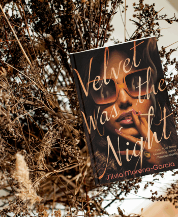velvet was the night book review