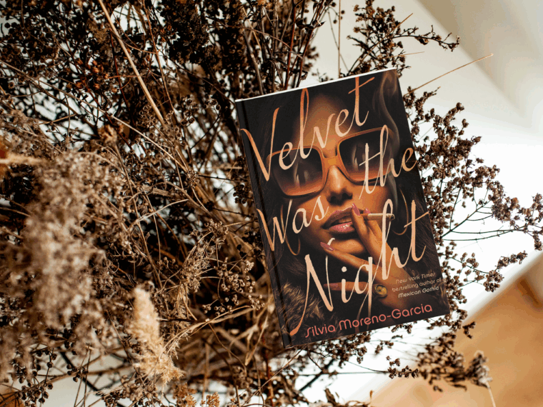 velvet was the night book review