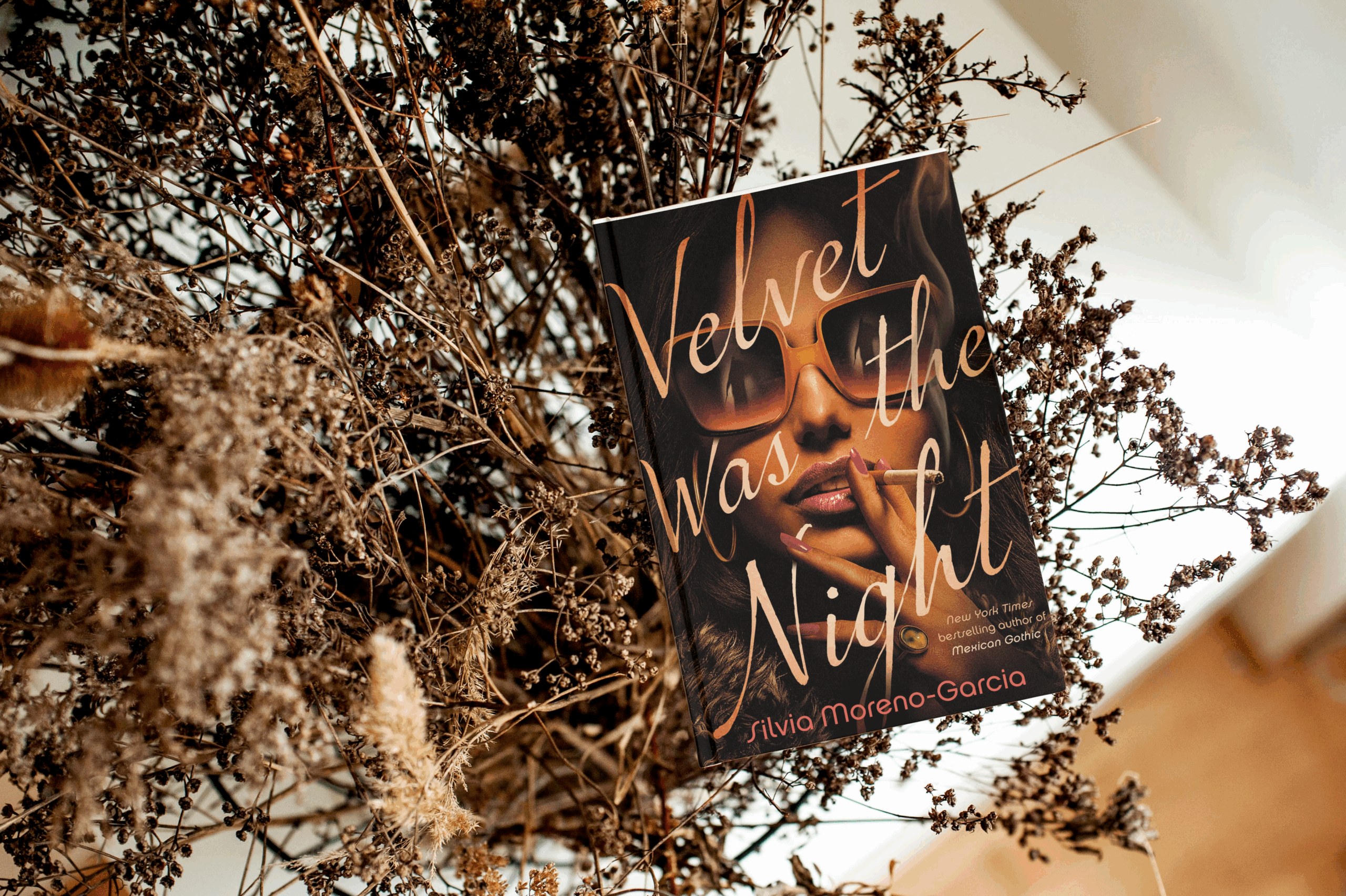 Velvet Was The Night Book Review Silvia Moreno Garcia’s Deliciously Dark Noir